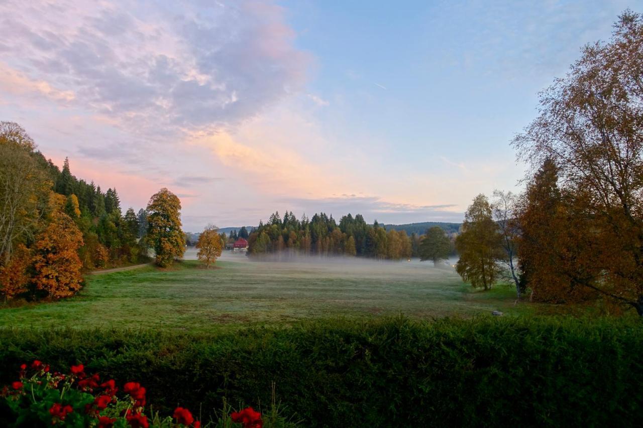 Hollhouse - Bed & Breakfast Hinterzarten Exterior foto