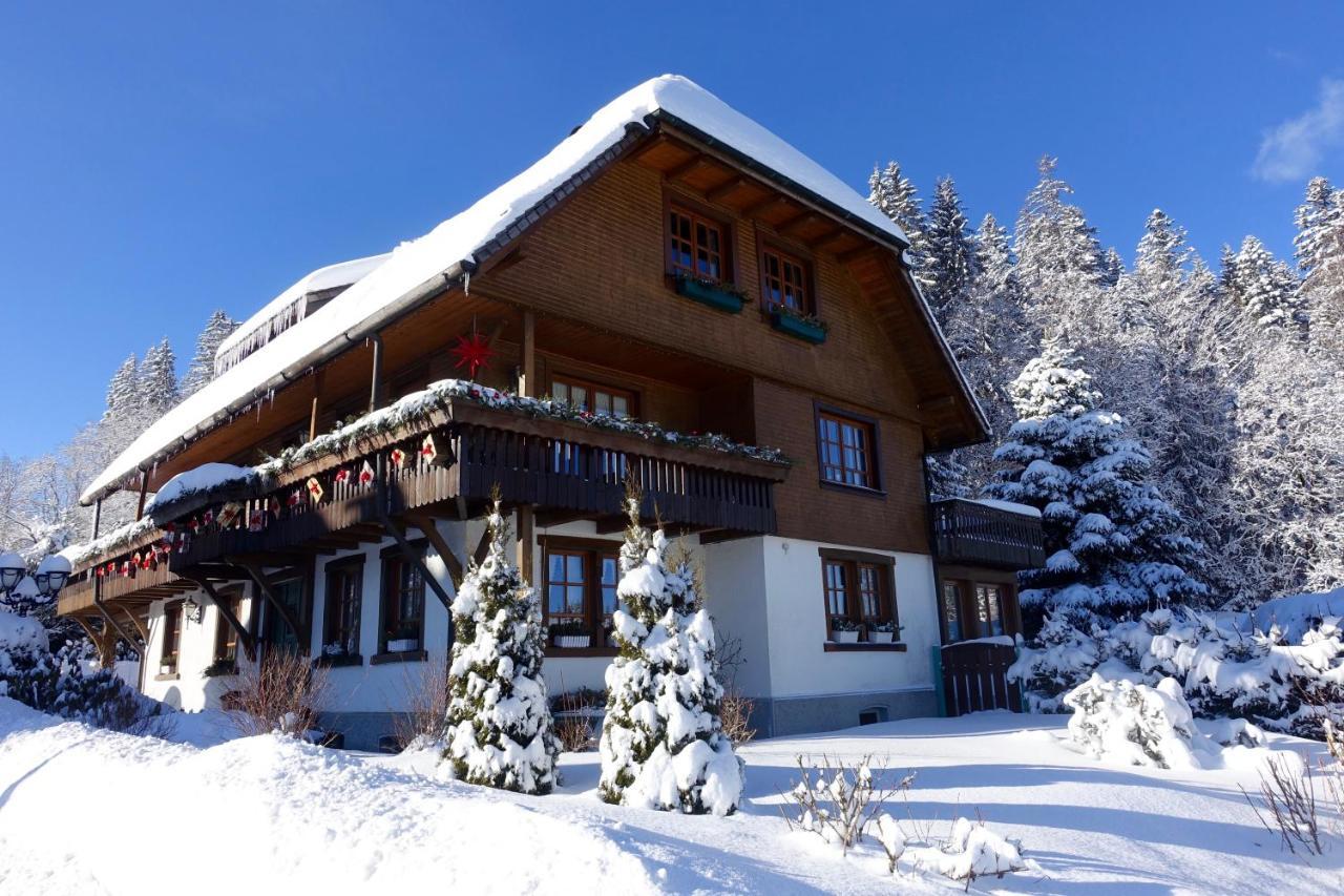Hollhouse - Bed & Breakfast Hinterzarten Exterior foto