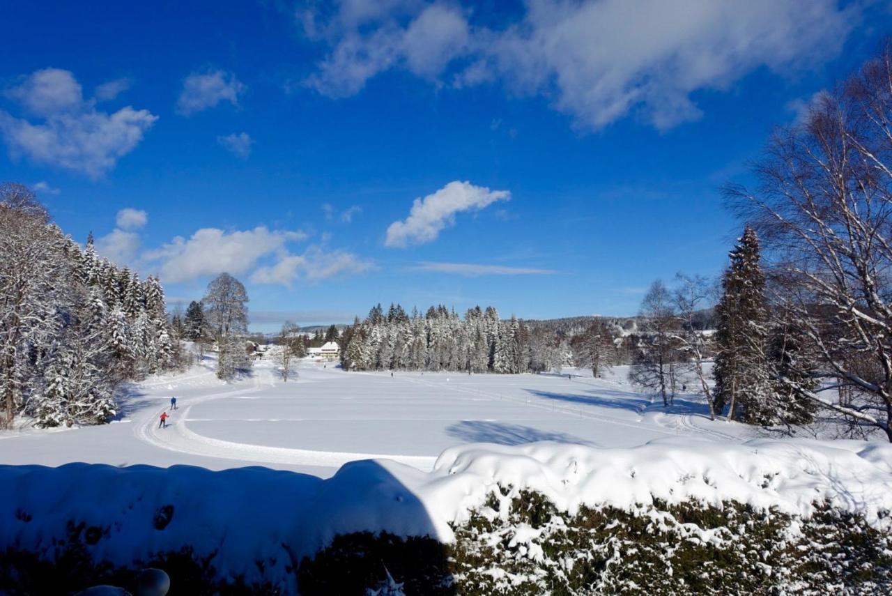 Hollhouse - Bed & Breakfast Hinterzarten Exterior foto