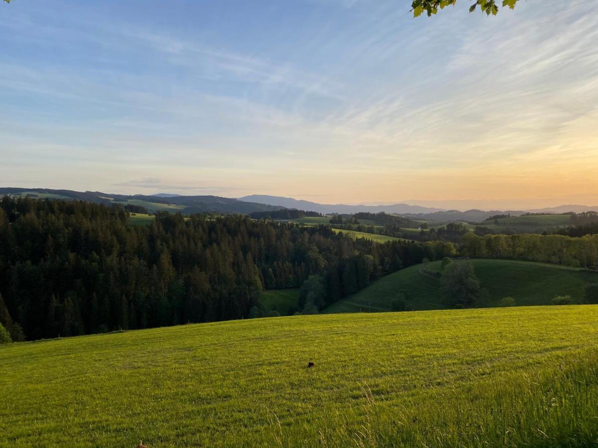 Hollhouse - Bed & Breakfast Hinterzarten Exterior foto