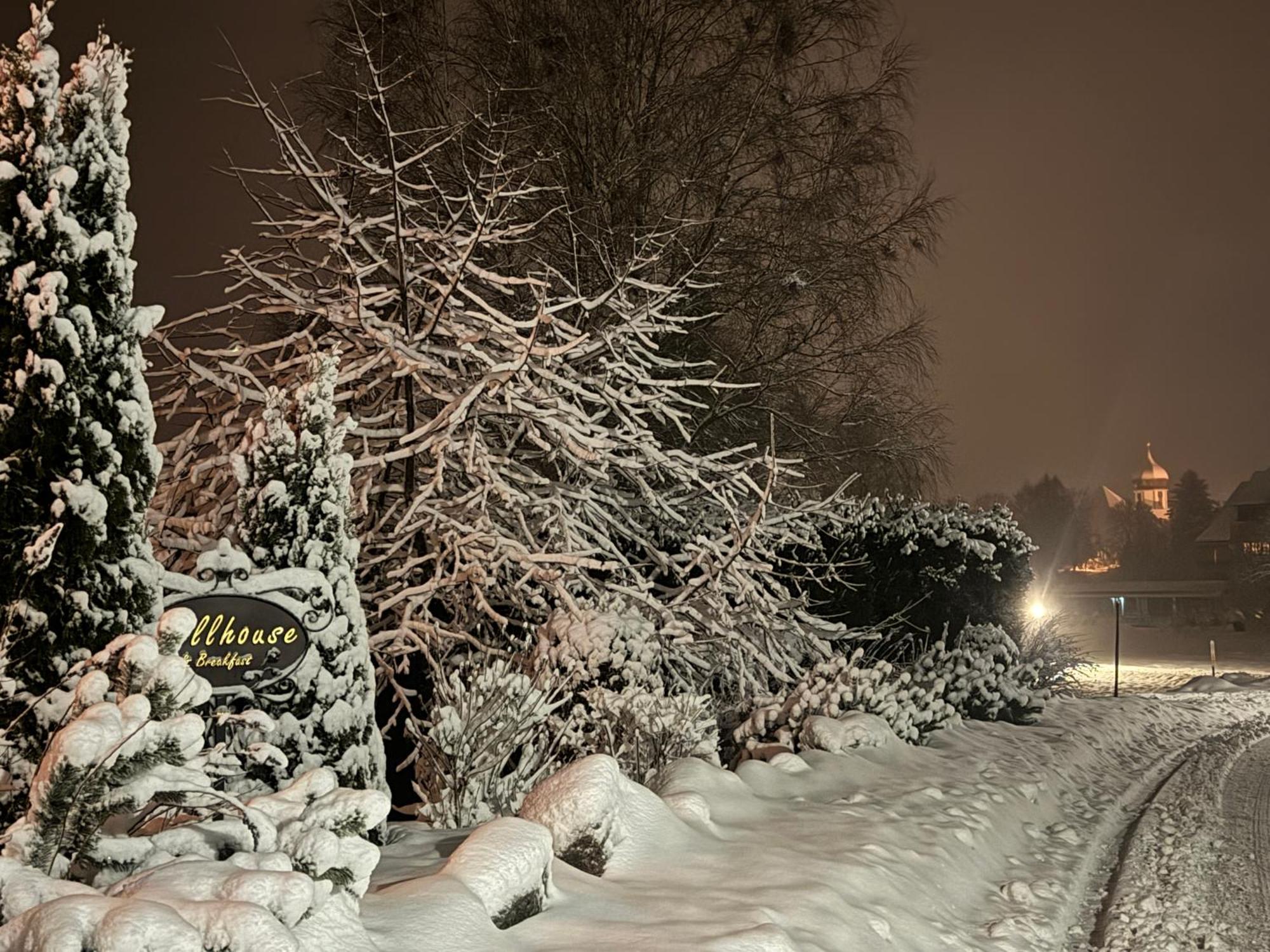 Hollhouse - Bed & Breakfast Hinterzarten Exterior foto